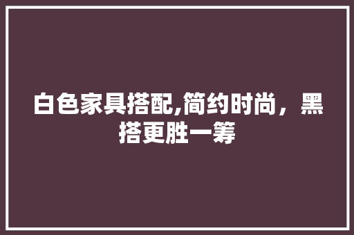 白色家具搭配,简约时尚，黑搭更胜一筹 白色家具搭配,简约时尚，黑搭更胜一筹 MI家装修攻略