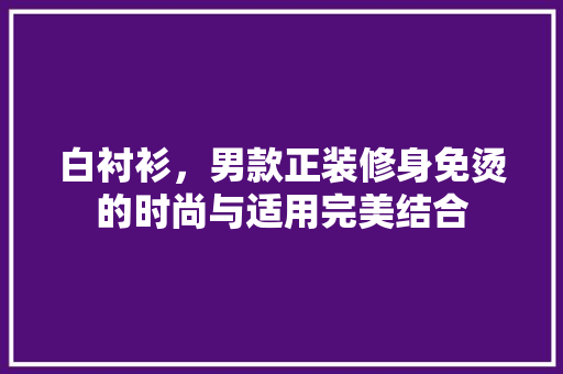 白衬衫，男款正装修身免烫的时尚与适用完美结合 白衬衫，男款正装修身免烫的时尚与适用完美结合 MI家设计百科