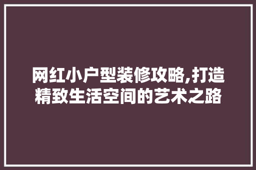 网红小户型装修攻略,打造精致生活空间的艺术之路 网红小户型装修攻略,打造精致生活空间的艺术之路 MI家装修经验
