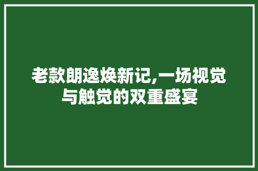 老款朗逸焕新记,一场视觉与触觉的双重盛宴
