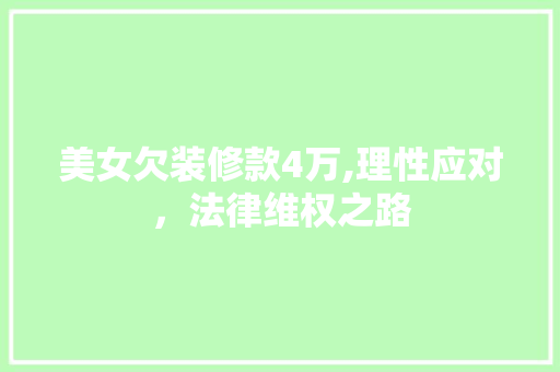 美女欠装修款4万,理性应对，法律维权之路 美女欠装修款4万,理性应对，法律维权之路 MI家公司推荐