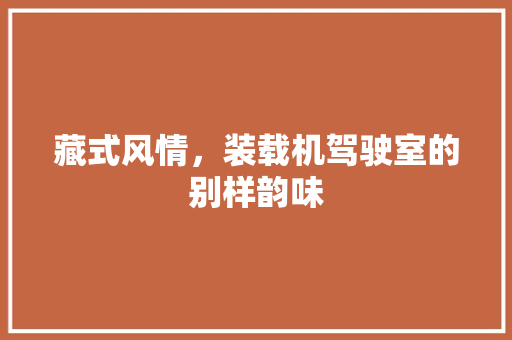 藏式风情，装载机驾驶室的别样韵味 藏式风情，装载机驾驶室的别样韵味 MI家设计百科