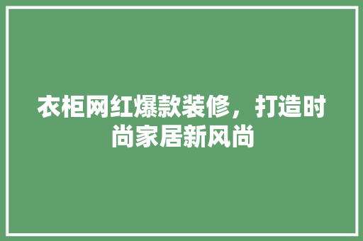 衣柜网红爆款装修，打造时尚家居新风尚(网红衣柜设计)