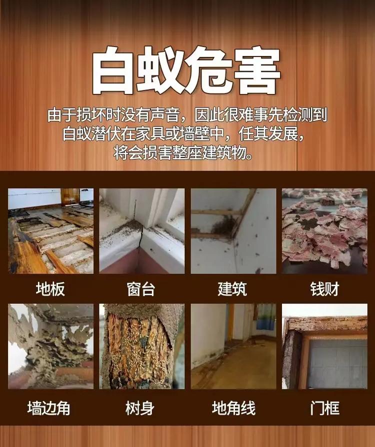 装修怎么防白蚁「房屋装修的防白蚁技巧有哪些」 MI家公司推荐 装修怎么防白蚁「房屋装修的防白蚁技巧有哪些」 装修怎么防白蚁「房屋装修的防白蚁技巧有哪些」 MI家公司推荐