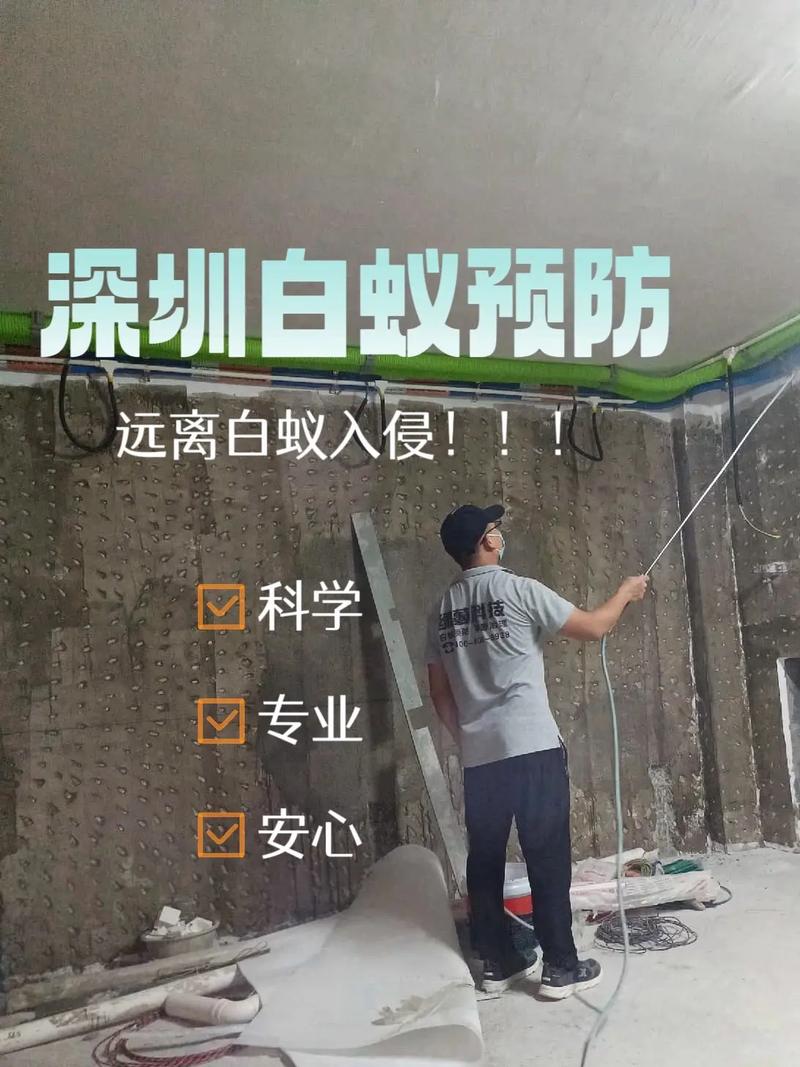 家装如何自己做防白蚁「房屋装修防白蚁技巧图解视频」 MI家公司推荐 家装如何自己做防白蚁「房屋装修防白蚁技巧图解视频」 家装如何自己做防白蚁「房屋装修防白蚁技巧图解视频」 MI家公司推荐