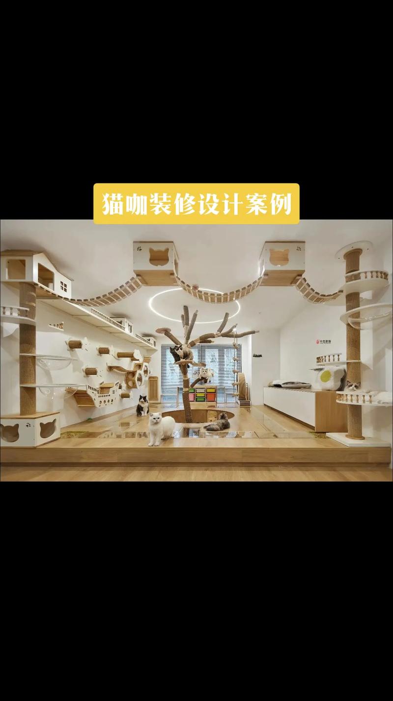 个性宠物店装修,打造温馨宠物乐园的方法 MI家设计百科 个性宠物店装修,打造温馨宠物乐园的方法 个性宠物店装修,打造温馨宠物乐园的方法 MI家设计百科