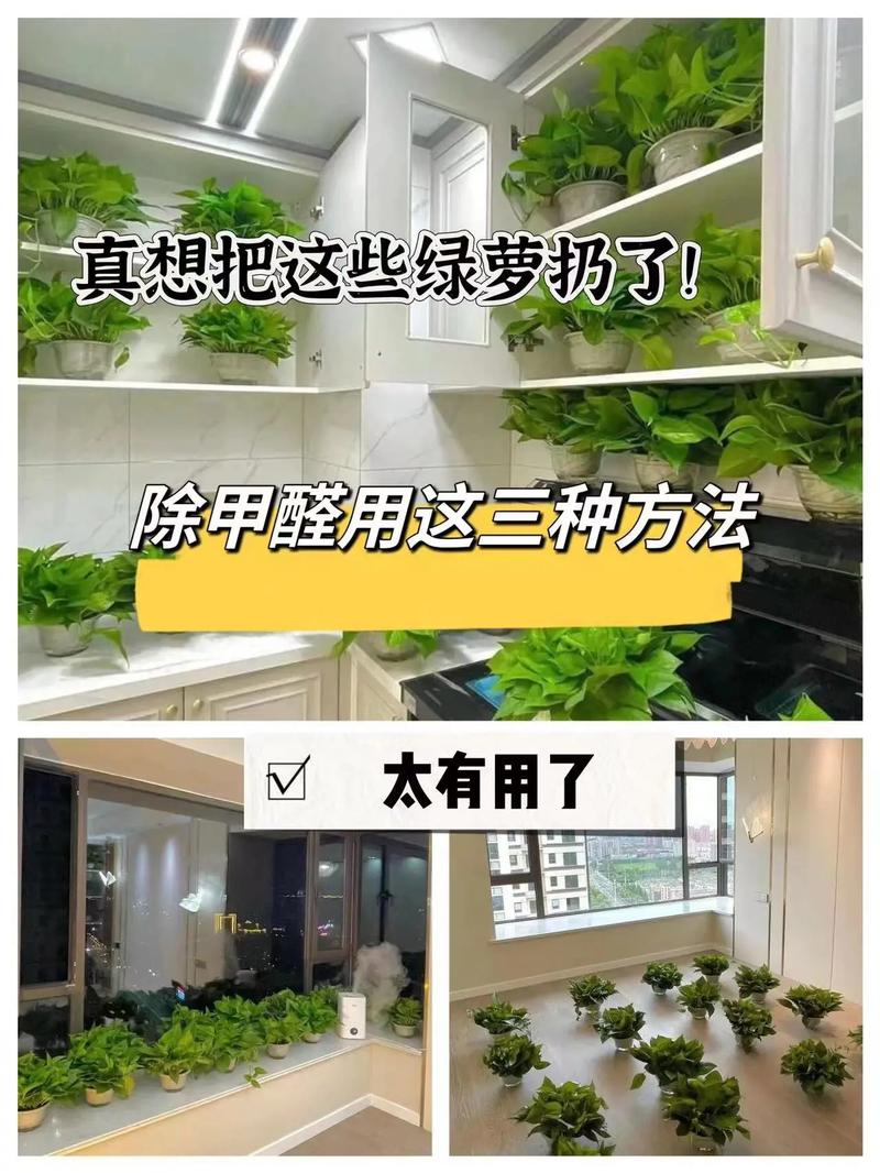 告别白灰异味,打造清新家居环境_装修后去除白灰味道的方法 MI家设计百科 告别白灰异味,打造清新家居环境_装修后去除白灰味道的方法 告别白灰异味,打造清新家居环境_装修后去除白灰味道的方法 MI家设计百科
