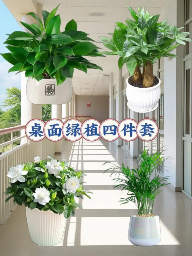 冬暖夏凉,四件套陪你度过四季_装修博主带你探索四件套的冬夏之别 MI家装修攻略 冬暖夏凉,四件套陪你度过四季_装修博主带你探索四件套的冬夏之别 冬暖夏凉,四件套陪你度过四季_装修博主带你探索四件套的冬夏之别 MI家装修攻略