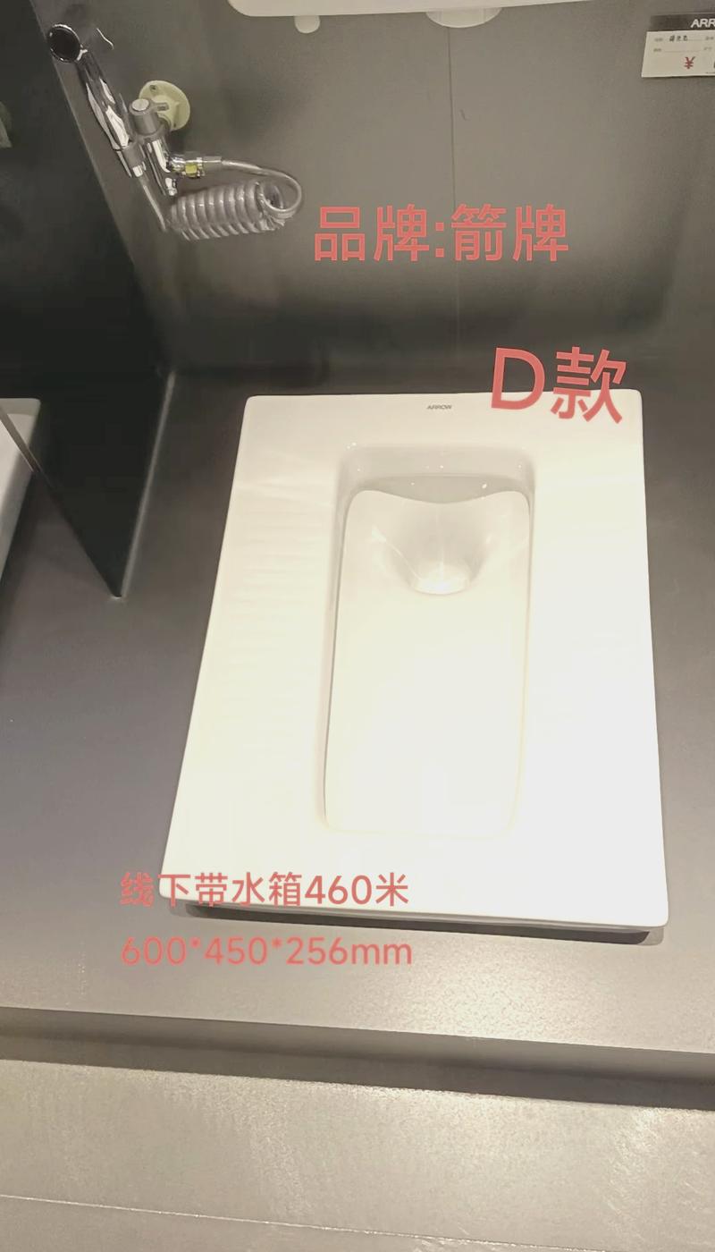 装修蹲便器选购攻略,哪一款才是你的最佳选择 MI家装修经验 装修蹲便器选购攻略,哪一款才是你的最佳选择 装修蹲便器选购攻略,哪一款才是你的最佳选择 MI家装修经验